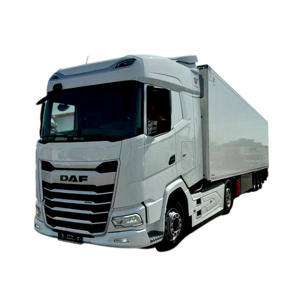 Стиратель ошибок Adblue DAF Euro 6.2